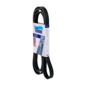 BP6PK2153 FINWHALE