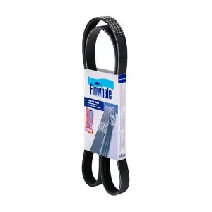 BP6PK1340 FINWHALE