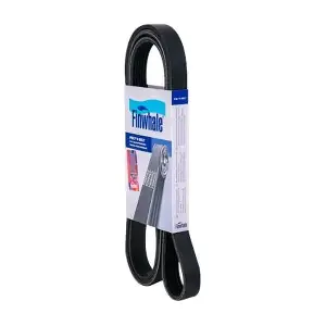 BP6PK1873 FINWHALE