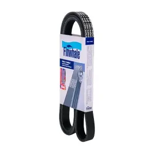 BP6PK1693 FINWHALE