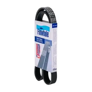BP6PK1043 FINWHALE
