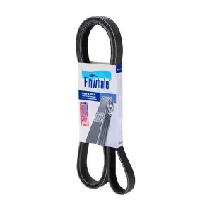 BP6PK2100 FINWHALE