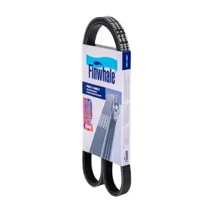 BP4PK1048 FINWHALE