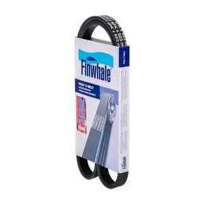 BP4PK923 FINWHALE