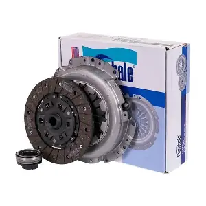 CK405 FINWHALE