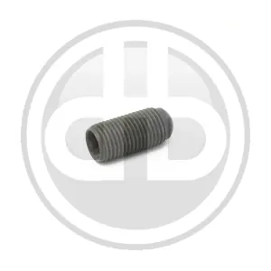 WHT000530 BUCHLI
