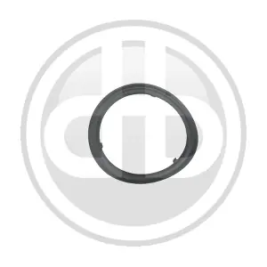 04L253115 BUCHLI