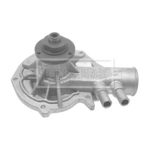 WP2499 DELPHI