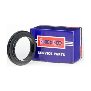 BSM5310 BORG & BECK