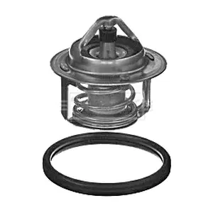 BORG & BECK BBT390