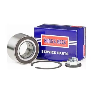BWK1300 BORG & BECK