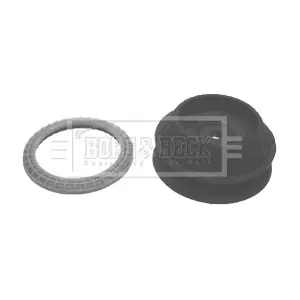 BSM5031 BORG & BECK