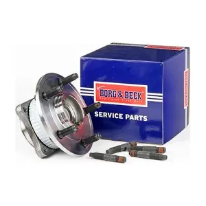 BORG & BECK BWK1379