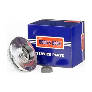 BORG & BECK BWK491