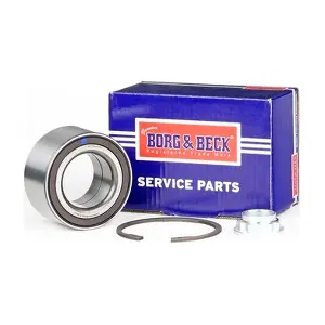 BWK1254 BORG & BECK