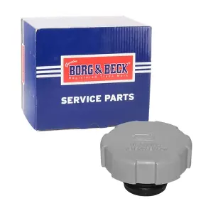 BORG & BECK BRC111