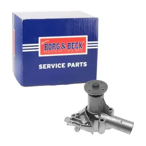 BWP1244 BORG & BECK