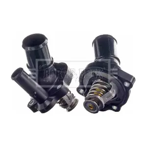 BORG & BECK BBT233