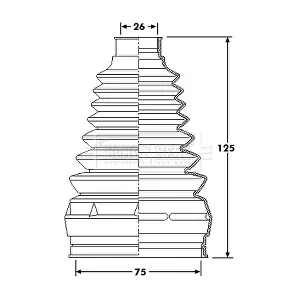 BORG & BECK BCB6217