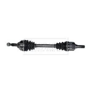 BORG & BECK BDS1020