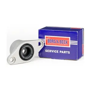 BSM5432 BORG & BECK