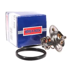 BORG & BECK BBT450