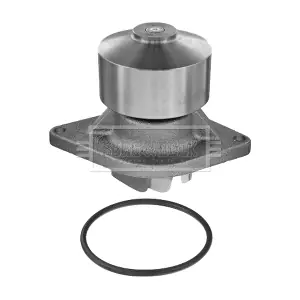 BORG & BECK BWP32685