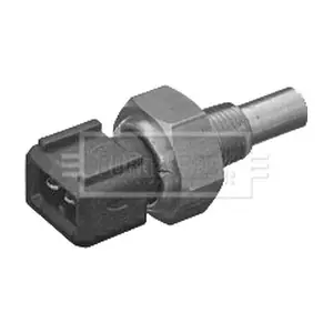 30862221 BorgWarner (BERU)