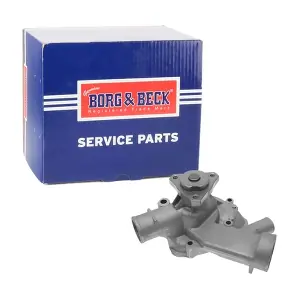 BWP1110 BORG & BECK