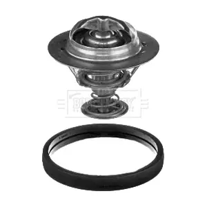 BORG & BECK BBT282
