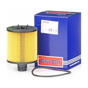 BFO4296 BORG & BECK