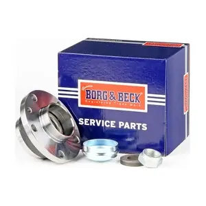 BWK1393 BORG & BECK