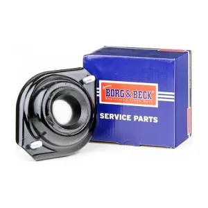 BSM5391 BORG & BECK