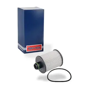 BORG & BECK BFO4043