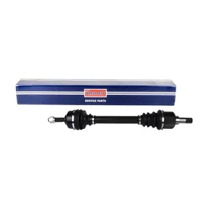 BORG & BECK BDS1199