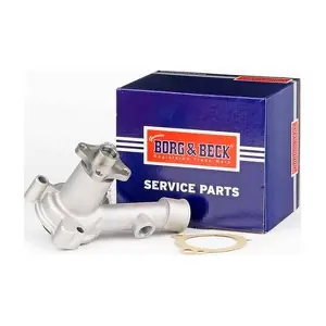 BWP1189 BORG & BECK