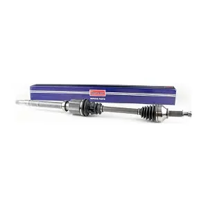 BORG & BECK BDS1001