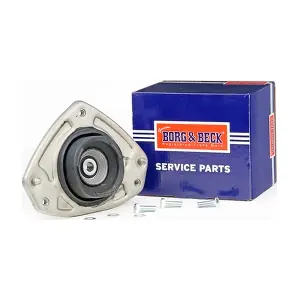 BSM5099 BORG & BECK