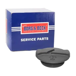 BORG & BECK BRC113
