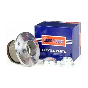 BORG & BECK BWK1131