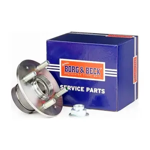 BWK1163 BORG & BECK