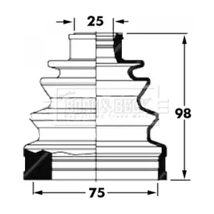 BCB6031 BORG & BECK