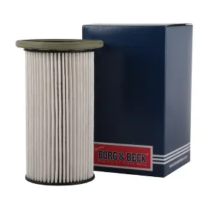 BFF8098 BORG & BECK