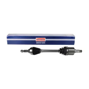 BORG & BECK BDS1000