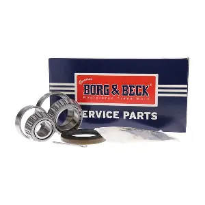 BORG & BECK BWK695