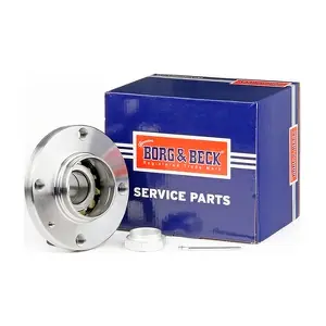 BORG & BECK BWK209