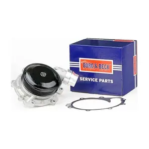 BWP2400V BORG & BECK