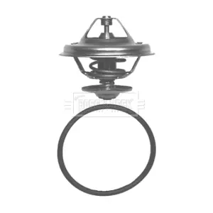 BORG & BECK BBT054