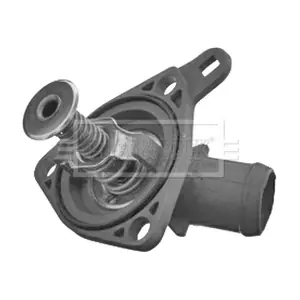 BORG & BECK BBT229