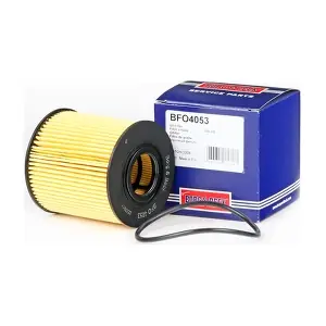 BORG & BECK BFO4053